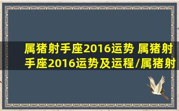 属猪射手座2016运势 属猪射手座2016运势及运程/属猪射手座2016运势 属猪射手座2016运势及运程-我的网站